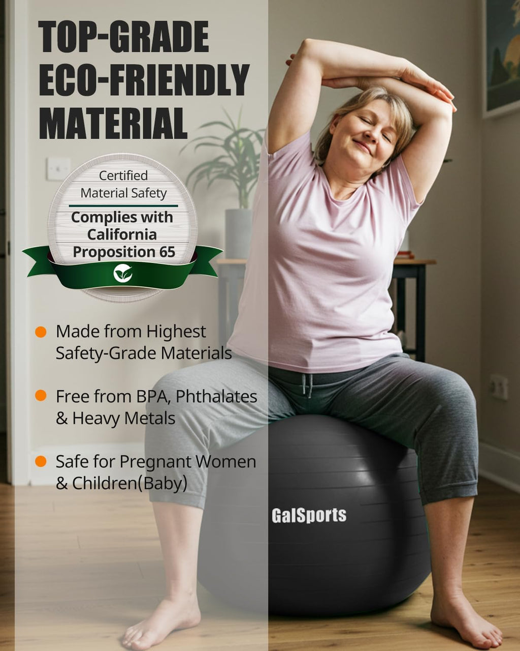 Anti-Burst Slip Resistant Stability Ball - Swiss Ball for Home Gym & Physical Therapy